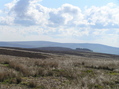 #5: Zoomed in view to the east from the confluence.