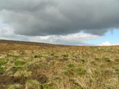 #6: View to the north-northwest from the confluence.