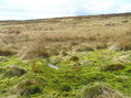 #7: View to the west-southwest from the confluence.