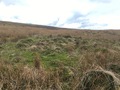 #5: View to the West