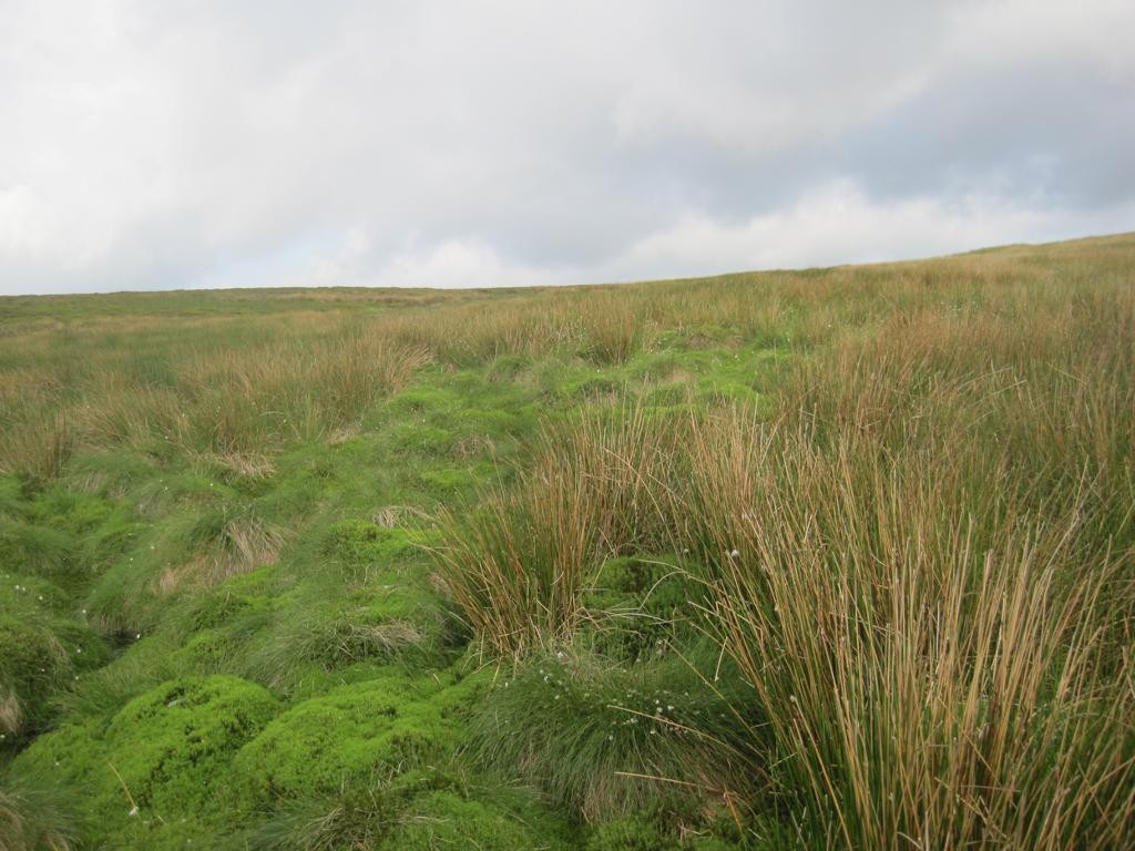 Westen; view west