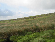 #3: Süden; view south