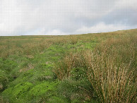 #4: Westen; view west