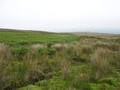 #7: East