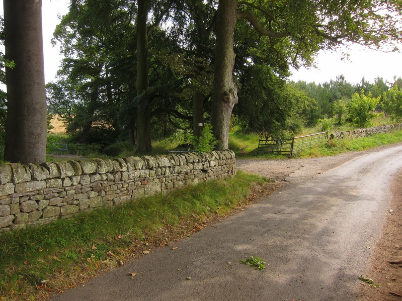 Entrance to the confluence point from the road