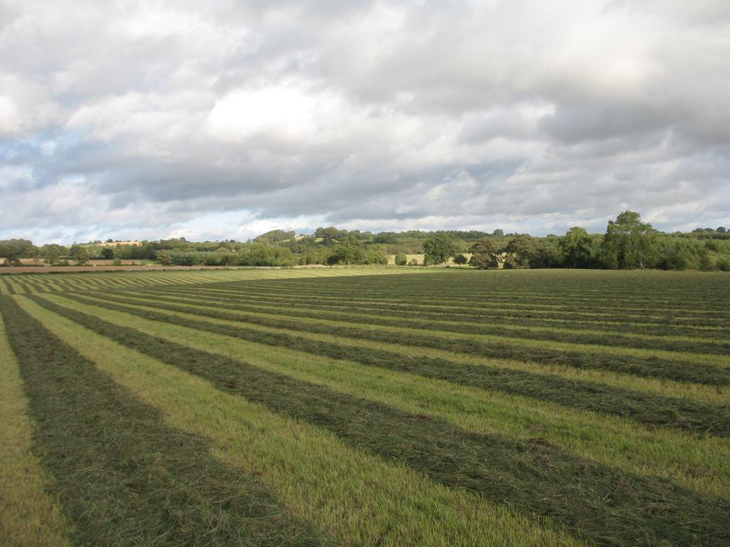 Osten; view east