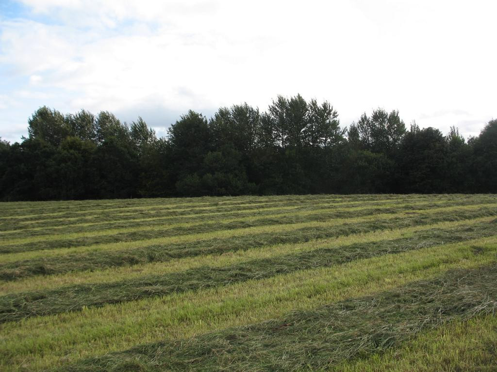 Süden; view south