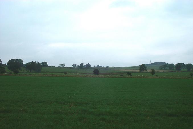 Looking North