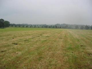 #1: The Confluence as seen from 50 m West