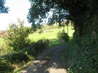 #6: view from junction to enclosure and meadow
