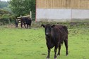 #8: Spectators