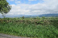 Visit #5: [28-May-24]