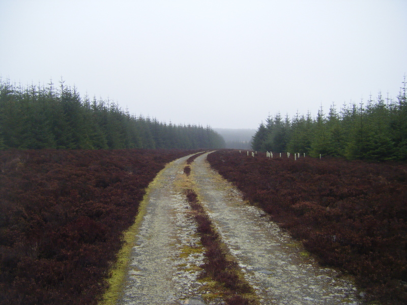 Long and lonely road home