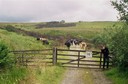 #11: traffic jam on the way to the CP, 4 km south