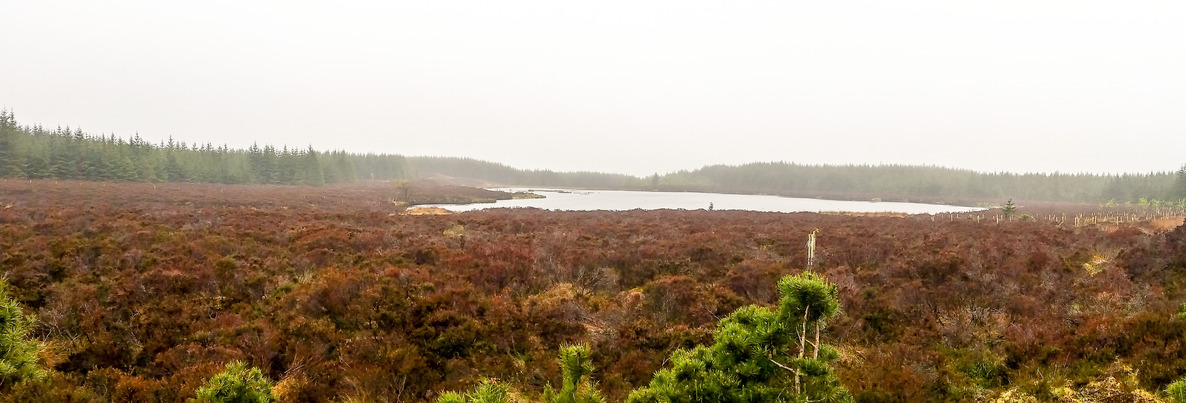 Loch Ree