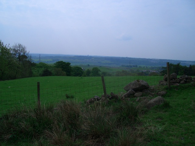 View South