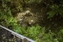 #10: Stream bed