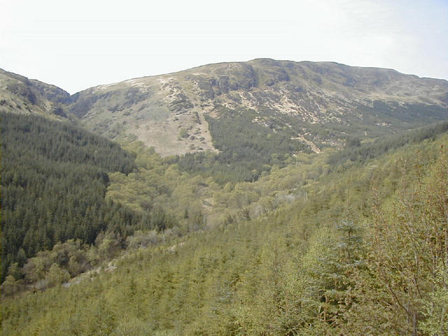 The surroundings of the confluence