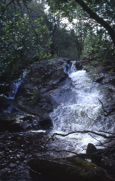 waterfall near the confluence
