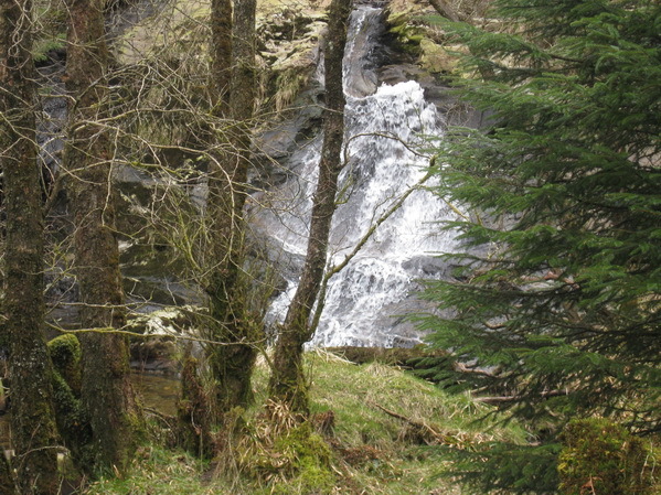 Nearby Waterfall