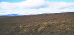 #5: West, Lochnagarin the distace, the ruined March Fence that divides Glen Tanar and Glen Muick Estates.