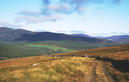 #7: The grouse shooting party climbing the Mount Keen track.