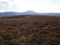 #4: view south directly towards Mount Keen