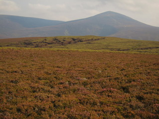 #1: View of the confluence point in the foreground, looking south to Mount Keen