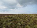#3: View looking north