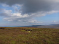 #5: View looking east