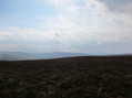 #6: View looking west