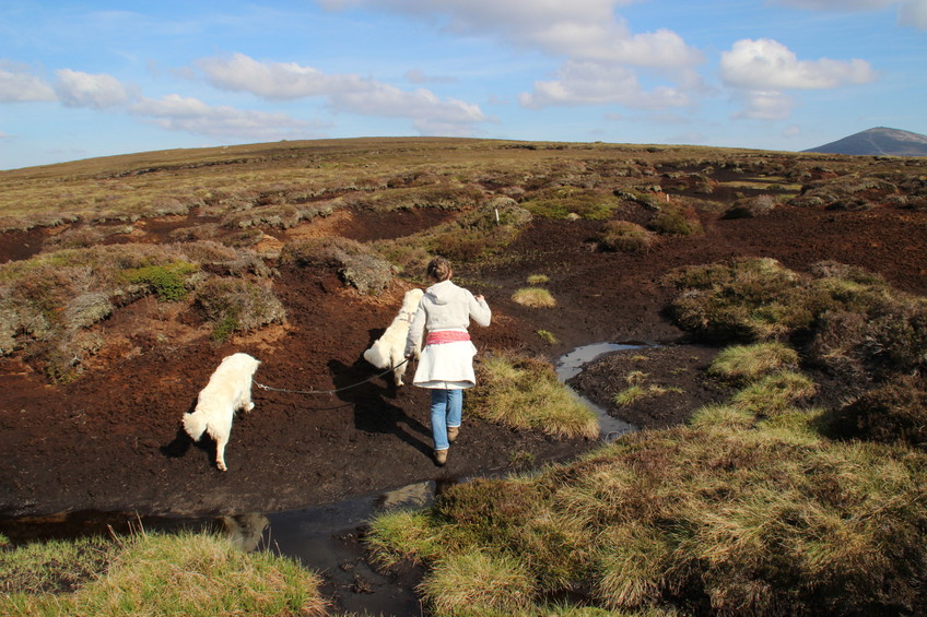 Over peaty grounds, 1 km west of the CP