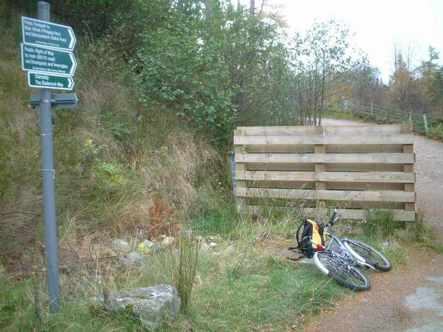 The start of the Inshriach Forest route