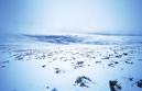 #2: Looking North, down the glen towards the forests near Drumguish.