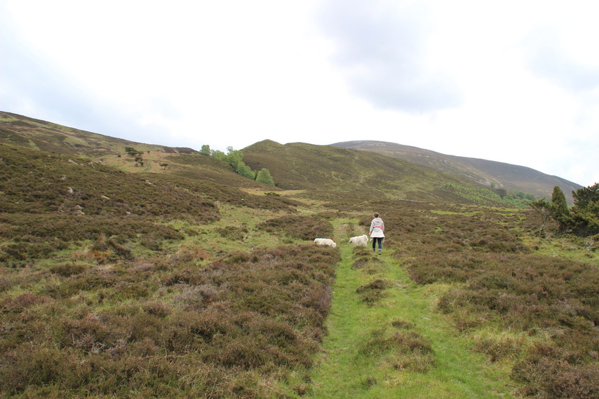 way up from Glen Tromie