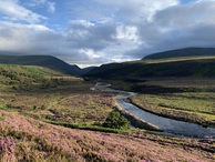 #9: Nearby View