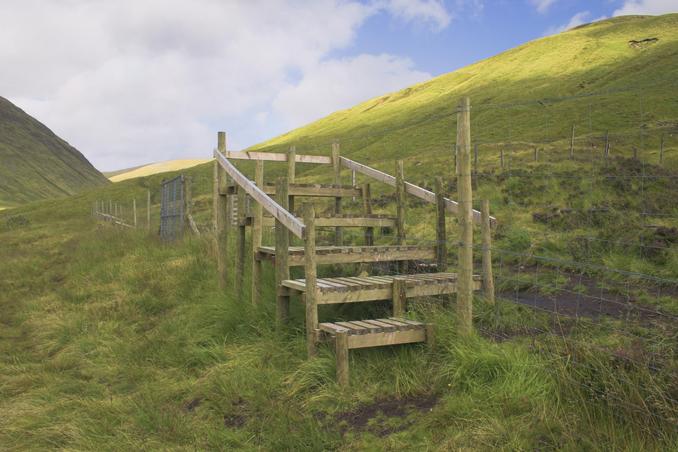 Steps