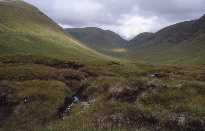 peaty labyrinth on the way to the confluence