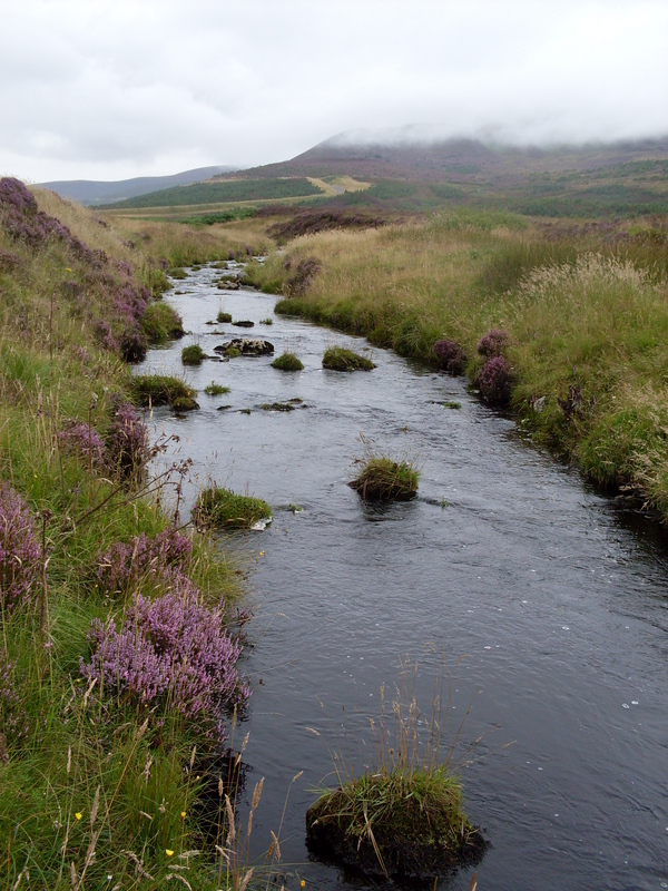 Golspie burn