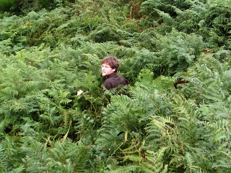 John in deep bracken close to road