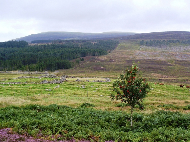 Looking from road from the North East.  58°N 4°W is 500 metres away, in centre of picture