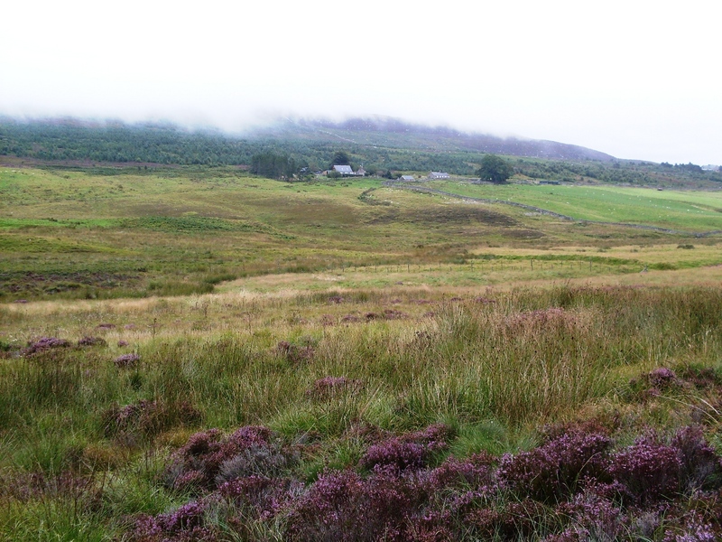 View from confluence point towards North East