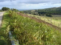 #10: Looking east toward Dornoch Firth from the pull-off overlooking 58N 04W.