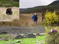 #7: walking down to Golspie Burn