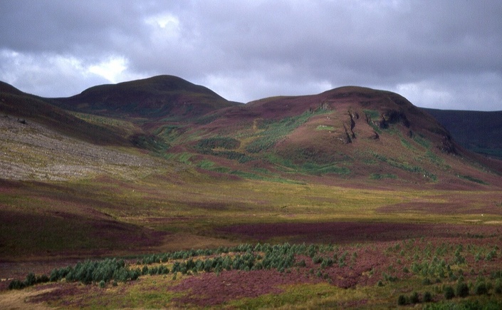 general view northwest of the confluence