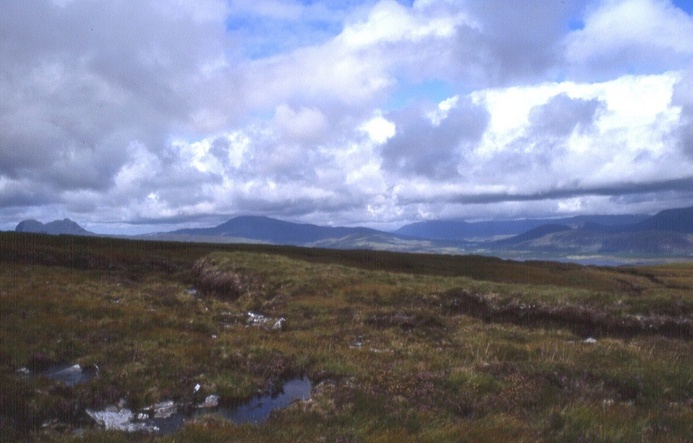 view north from 50 m N of the CP