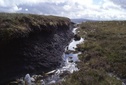 #7: peat canyon