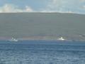 #8: Cape Rubha Reidh