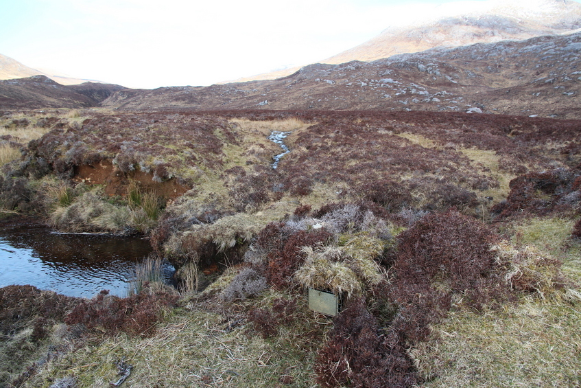 Looking toward the confluence - mink trap in foreground