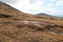 #4: Looking South